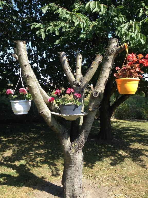 Vivans Bed&self Catering 2*