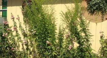 Maison d'hôtes Vivans Bed&self Catering 2*