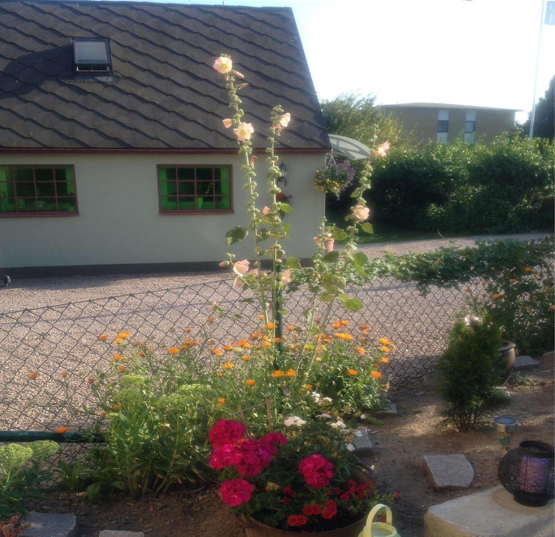 Vivans Bed&self Catering 2*